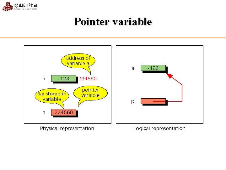 Pointer variable 