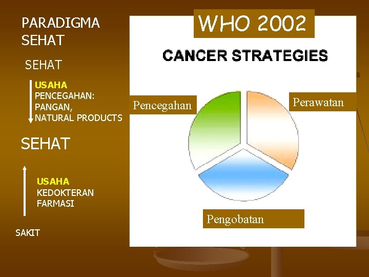 WHO 2002 PARADIGMA SEHAT USAHA PENCEGAHAN: PANGAN, NATURAL PRODUCTS Perawatan Pencegahan SEHAT USAHA KEDOKTERAN