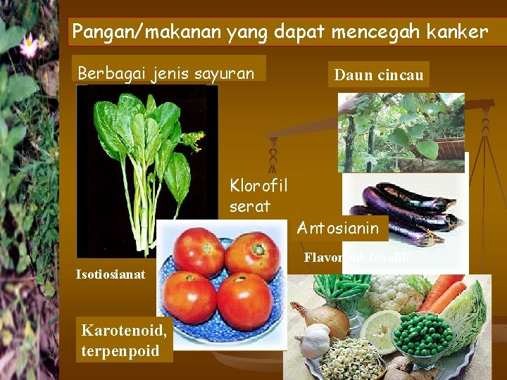 Pangan/makanan yang dapat mencegah kanker Berbagai jenis sayuran Klorofil serat Daun cincau Antosianin Flavonoid/fenolik