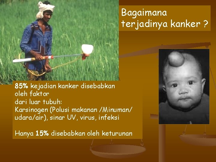 Bagaimana terjadinya kanker ? 85% kejadian kanker disebabkan oleh faktor dari luar tubuh: Karsinogen