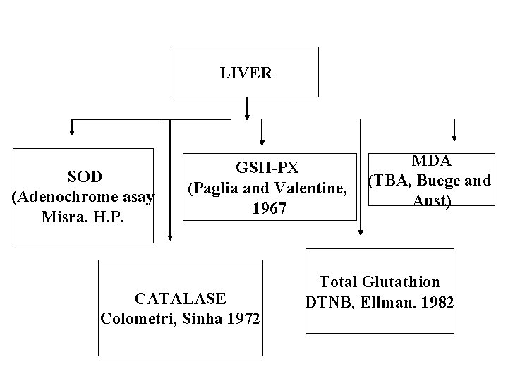 LIVER SOD (Adenochrome asay Misra. H. P. GSH-PX (Paglia and Valentine, 1967 CATALASE Colometri,