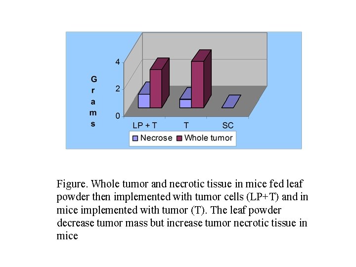 Figure. Whole tumor and necrotic tissue in mice fed leaf powder then implemented with