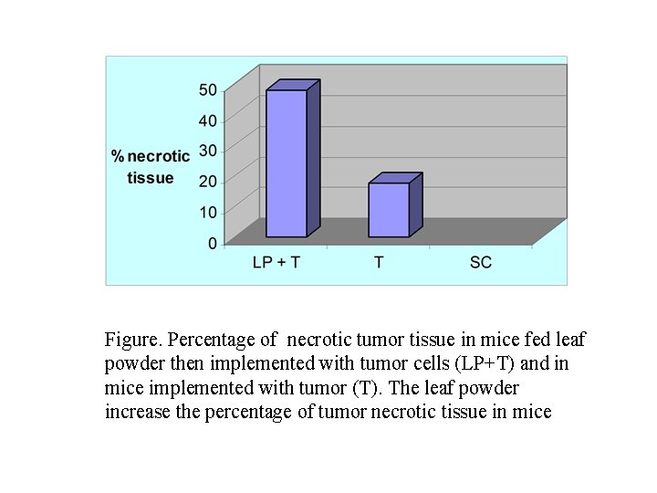 Figure. Percentage of necrotic tumor tissue in mice fed leaf powder then implemented with