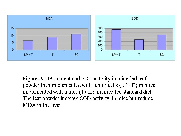 Figure. MDA content and SOD activity in mice fed leaf powder then implemented with