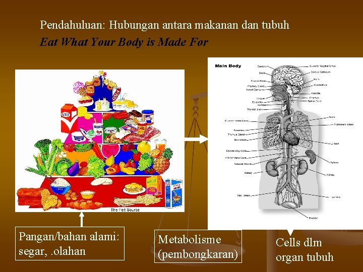 Pendahuluan: Hubungan antara makanan dan tubuh Eat What Your Body is Made For Pangan/bahan