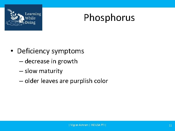 Phosphorus • Deficiency symptoms – decrease in growth – slow maturity – older leaves