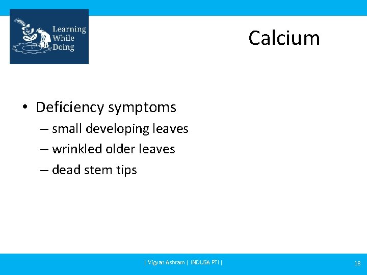 Calcium • Deficiency symptoms – small developing leaves – wrinkled older leaves – dead