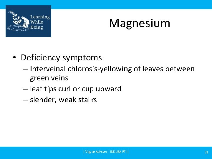 Magnesium • Deficiency symptoms – Interveinal chlorosis-yellowing of leaves between green veins – leaf
