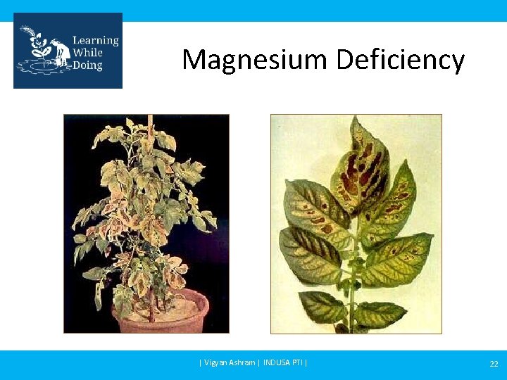 Magnesium Deficiency | Vigyan Ashram | INDUSA PTI | 22 