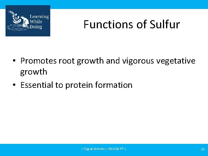 Functions of Sulfur • Promotes root growth and vigorous vegetative growth • Essential to