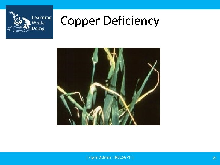 Copper Deficiency | Vigyan Ashram | INDUSA PTI | 29 