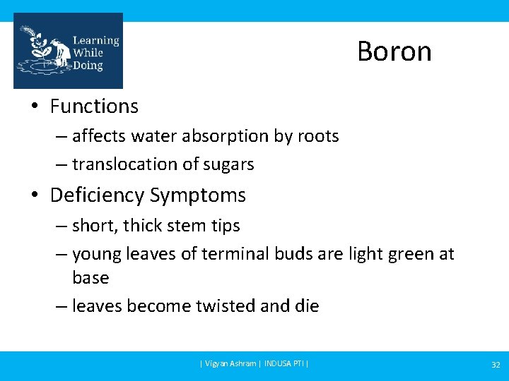 Boron • Functions – affects water absorption by roots – translocation of sugars •