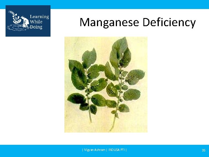 Manganese Deficiency | Vigyan Ashram | INDUSA PTI | 35 