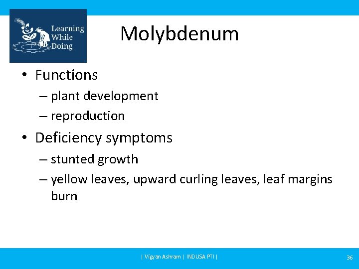 Molybdenum • Functions – plant development – reproduction • Deficiency symptoms – stunted growth