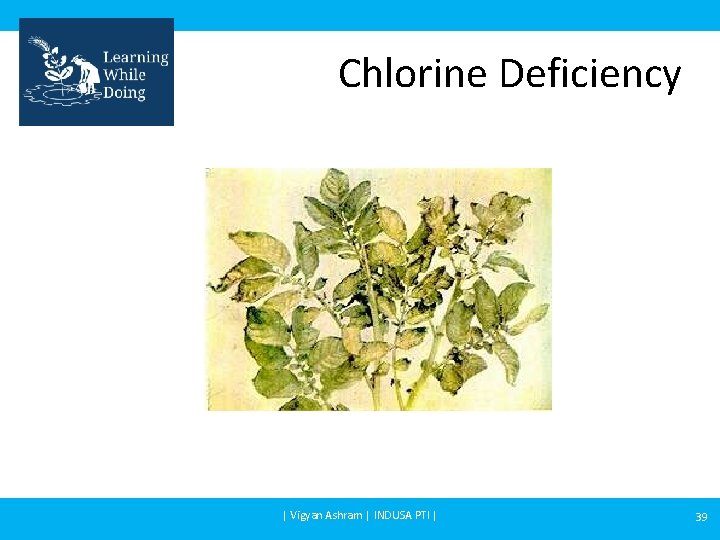 Chlorine Deficiency | Vigyan Ashram | INDUSA PTI | 39 