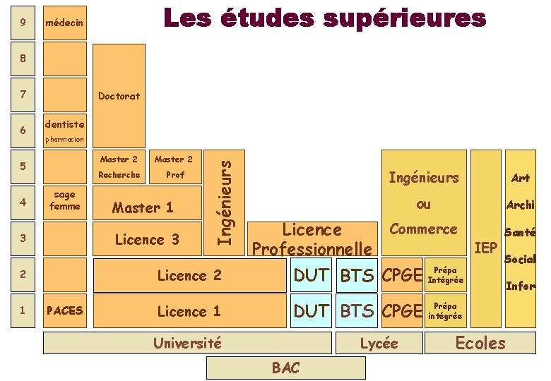 9 Les études supérieures médecin 8 7 dentiste pharmacien 5 4 sage femme Master