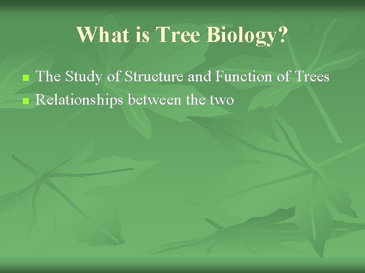 What is Tree Biology? n n The Study of Structure and Function of Trees