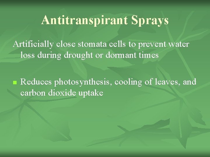 Antitranspirant Sprays Artificially close stomata cells to prevent water loss during drought or dormant