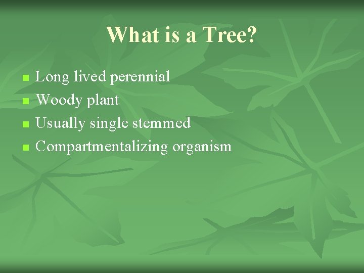 What is a Tree? n n Long lived perennial Woody plant Usually single stemmed