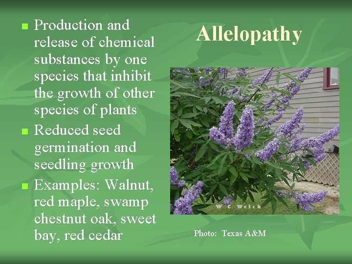 n n n Production and release of chemical substances by one species that inhibit