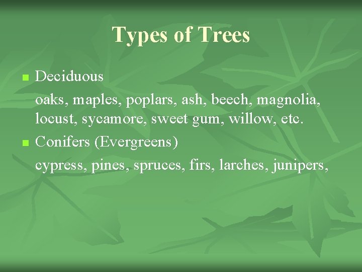 Types of Trees n n Deciduous oaks, maples, poplars, ash, beech, magnolia, locust, sycamore,