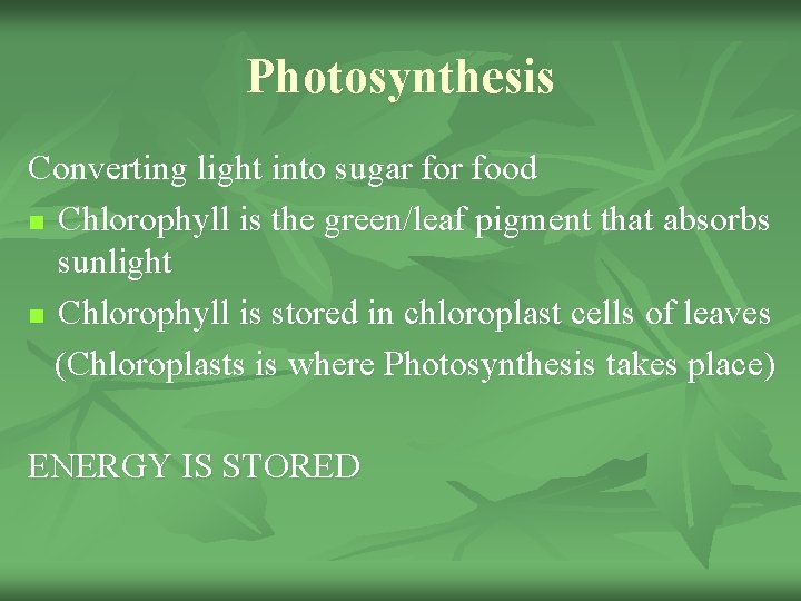 Photosynthesis Converting light into sugar food n Chlorophyll is the green/leaf pigment that absorbs