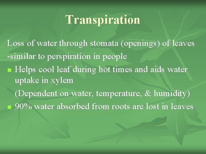 Transpiration Loss of water through stomata (openings) of leaves -similar to perspiration in people