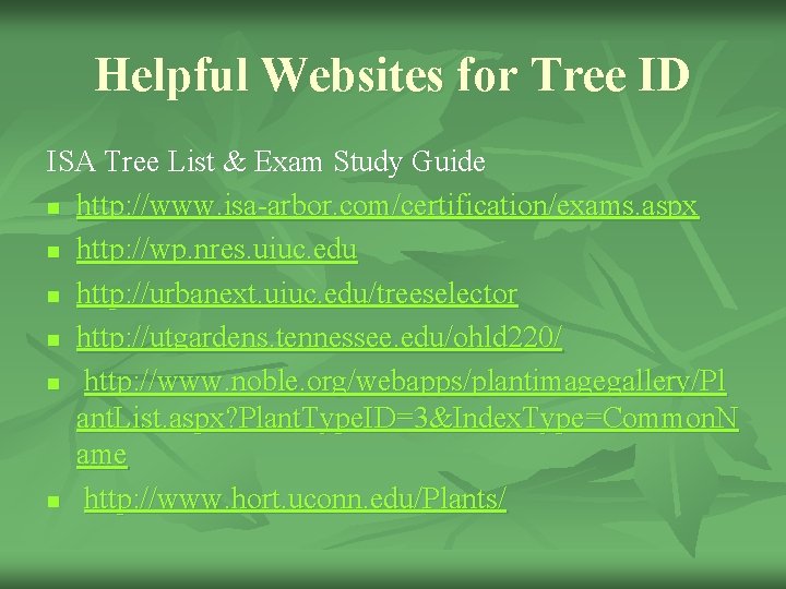 Helpful Websites for Tree ID ISA Tree List & Exam Study Guide n http: