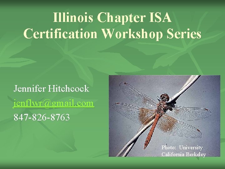 Illinois Chapter ISA Certification Workshop Series Jennifer Hitchcock jenflwr@gmail. com 847 -826 -8763 Photo: