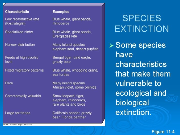 SPECIES EXTINCTION Ø Some species have characteristics that make them vulnerable to ecological and