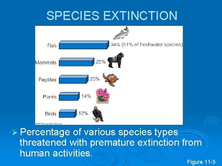 SPECIES EXTINCTION Ø Percentage of various species types threatened with premature extinction from human