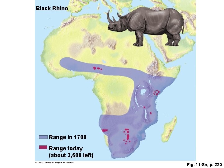 Black Rhino Range in 1700 Range today (about 3, 600 left) Fig. 11 -8