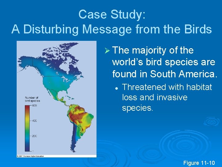 Case Study: A Disturbing Message from the Birds Ø The majority of the world’s