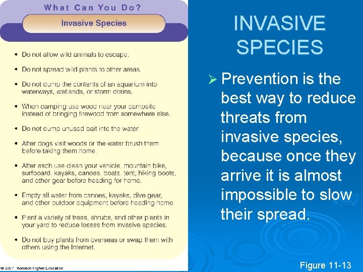 INVASIVE SPECIES Ø Prevention is the best way to reduce threats from invasive species,
