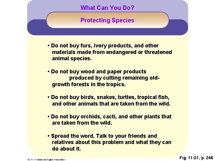 What Can You Do? Protecting Species • Do not buy furs, ivory products, and