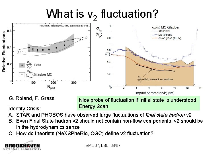 What is v 2 fluctuation? G. Roland, F. Grassi Nice probe of fluctuation if