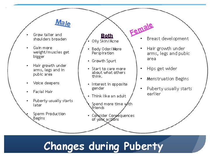 Male • • • Grow taller and shoulders broaden Gain more weight/muscles get bigger