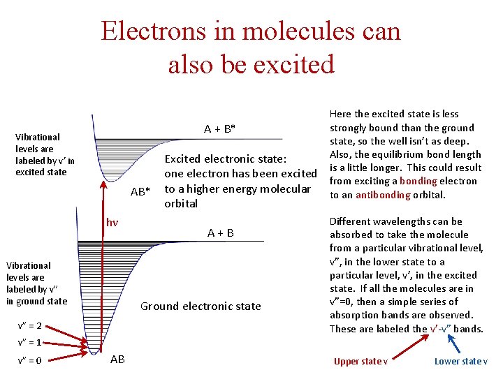 Electrons in molecules can also be excited Vibrational levels are labeled by v’ in