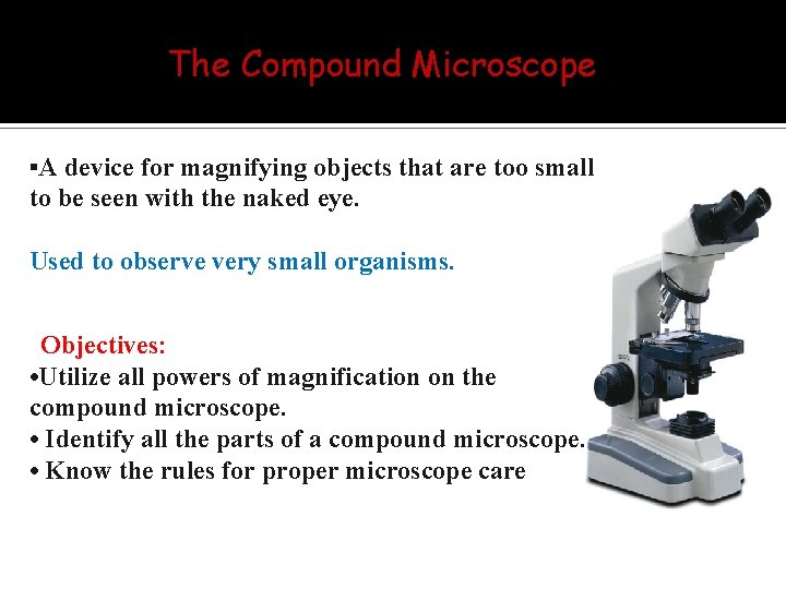 The Compound Microscope ▪A device for magnifying objects that are too small to be