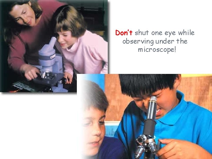 Don’t shut one eye while observing under the microscope! 