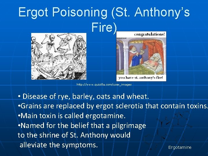 Ergot Poisoning (St. Anthony’s Fire) http: //www. quizilla. com/user_images • Disease of rye, barley,