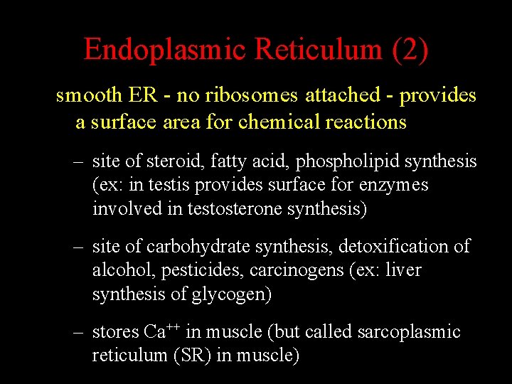 Endoplasmic Reticulum (2) smooth ER - no ribosomes attached - provides a surface area