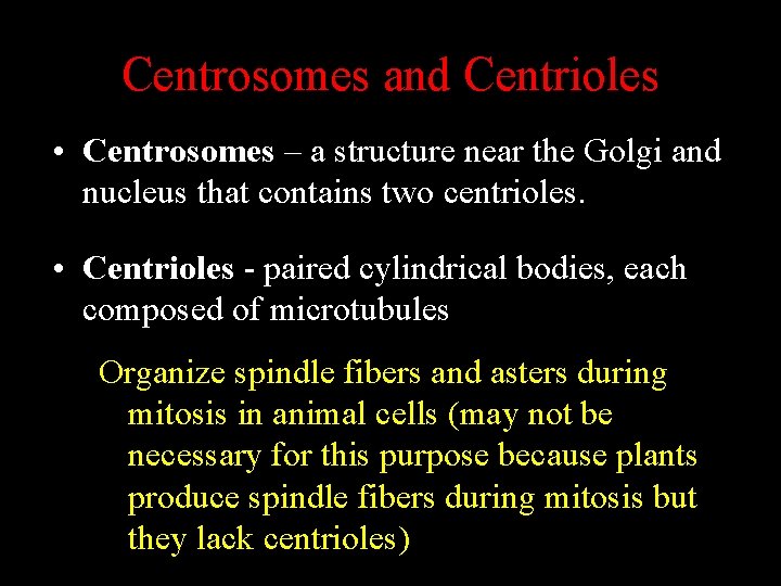 Centrosomes and Centrioles • Centrosomes – a structure near the Golgi and nucleus that