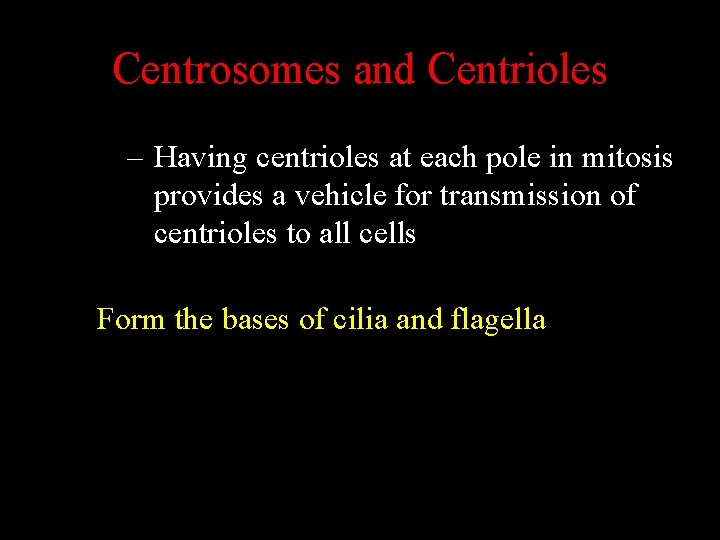 Centrosomes and Centrioles – Having centrioles at each pole in mitosis provides a vehicle