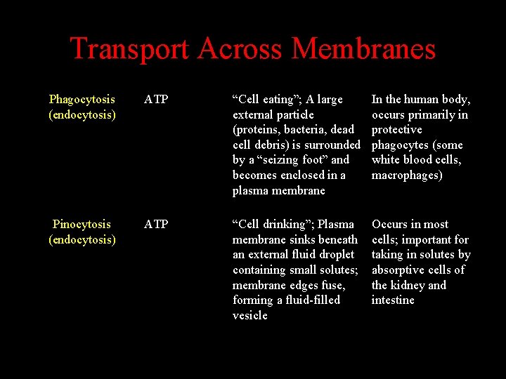 Transport Across Membranes Phagocytosis (endocytosis) ATP “Cell eating”; A large external particle (proteins, bacteria,