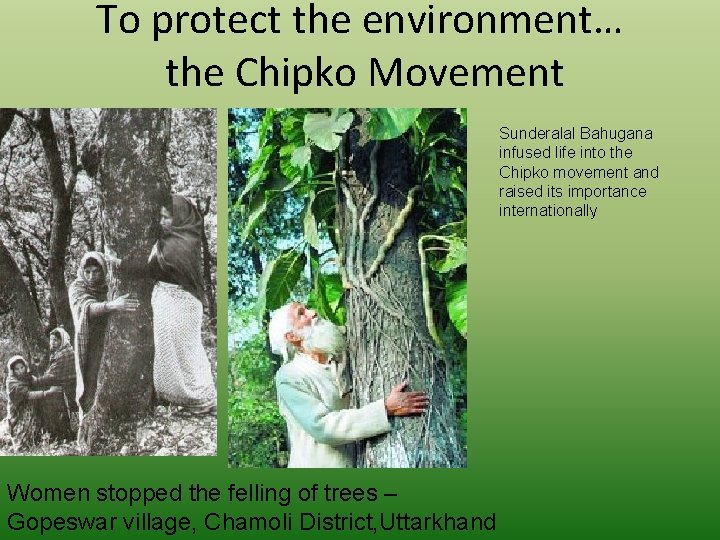 To protect the environment… the Chipko Movement Sunderalal Bahugana infused life into the Chipko