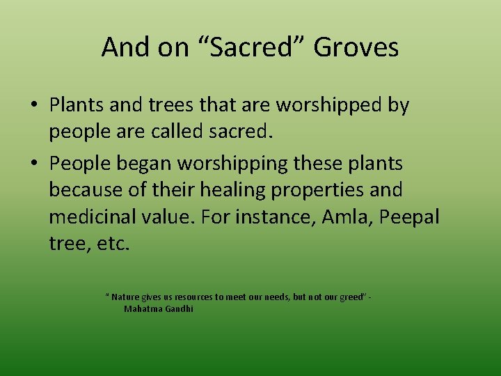 And on “Sacred” Groves • Plants and trees that are worshipped by people are