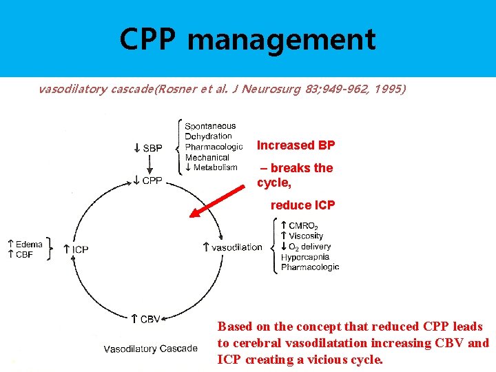 CPP management vasodilatory cascade(Rosner et al. J Neurosurg 83; 949 -962, 1995) Increased BP