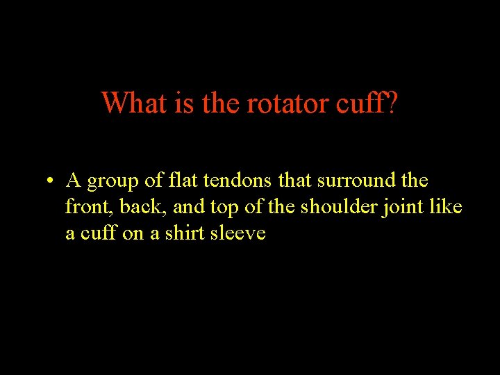 What is the rotator cuff? • A group of flat tendons that surround the