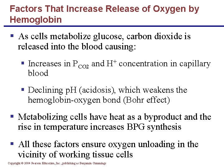 Factors That Increase Release of Oxygen by Hemoglobin § As cells metabolize glucose, carbon